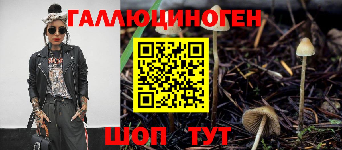 Псилоцибиновые грибы мухоморы  Вход с VPN  Лесной  Псилоцибиновые грибы Psilocybine cubensis 